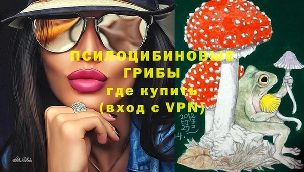 амф Арсеньев