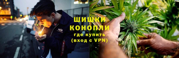 винт Аркадак