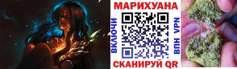 Купить закладки  Чекалин  Бошки марихуана Ganja 